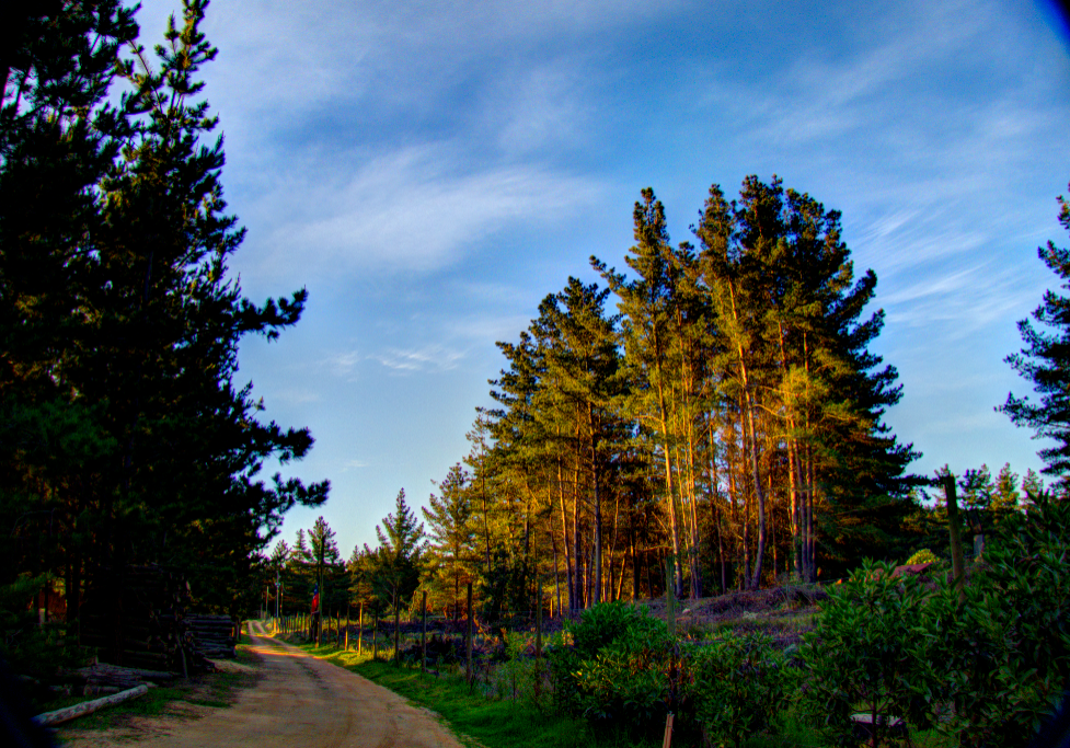 entrada atarecer HDR 1